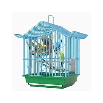 Amazon.com : Bird Cage Bird Cage Ecological Special